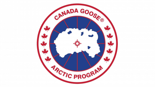 Canada Goose